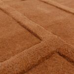 Asiatic Maze rust 4