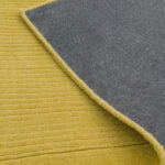Asiatic York yellow 3