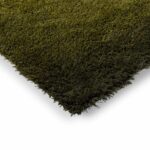 Brink Campman Shade High Olive Deep Forest 11907 E